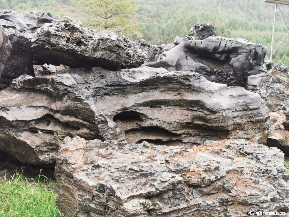 风景石、假山石大量有货,有需要的欢迎联系 - 新手上路 - 九江生活社区 - 九江28生活网 jj.28life.com