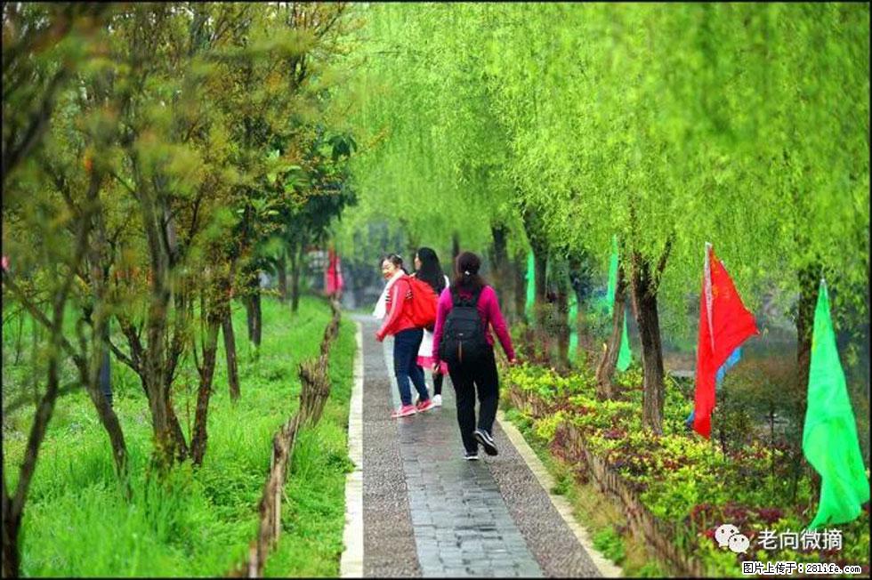 【春天,广西桂林灌阳县向您发出邀请!】江口老街又逢春 - 游山玩水 - 九江生活社区 - 九江28生活网 jj.28life.com