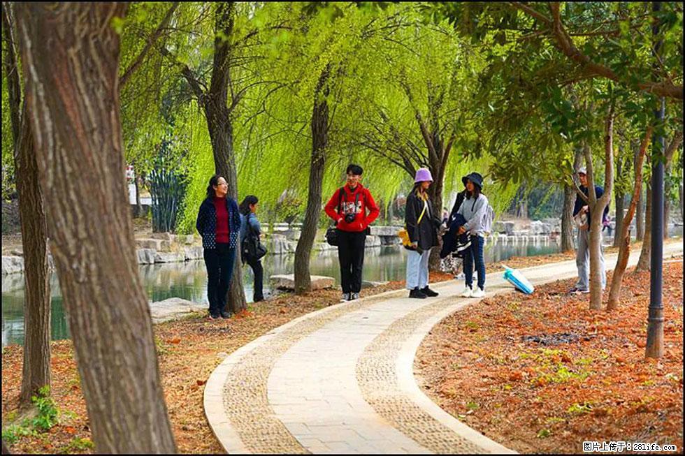 【春天,广西桂林灌阳县向您发出邀请!】江口老街又逢春 - 游山玩水 - 九江生活社区 - 九江28生活网 jj.28life.com