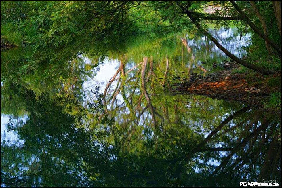 【春天,广西桂林灌阳县向您发出邀请!】熊家寨湿地公园 - 游山玩水 - 九江生活社区 - 九江28生活网 jj.28life.com