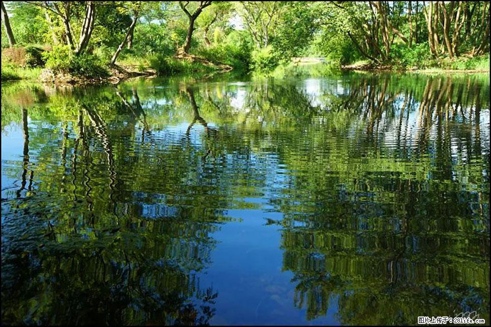 【春天,广西桂林灌阳县向您发出邀请!】熊家寨湿地公园 - 游山玩水 - 九江生活社区 - 九江28生活网 jj.28life.com