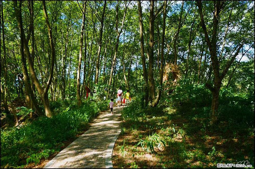 【春天,广西桂林灌阳县向您发出邀请!】熊家寨湿地公园 - 游山玩水 - 九江生活社区 - 九江28生活网 jj.28life.com