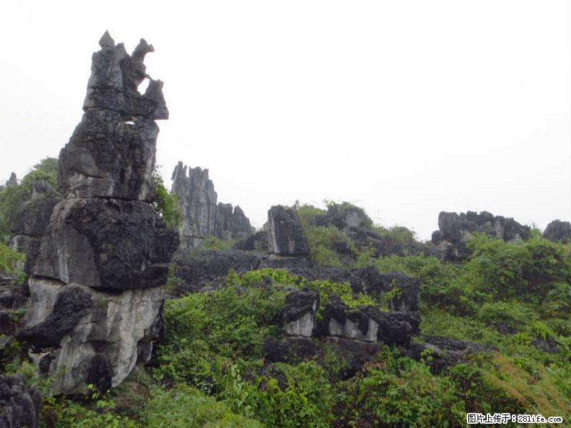 桂林旅游名城景点:灌阳文市石林 - 游山玩水 - 九江生活社区 - 九江28生活网 jj.28life.com