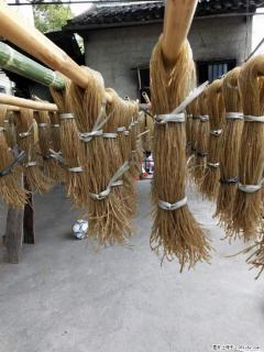 【灌阳正宗红薯粉】美女家里自己做的，干净卫生，假一赔十，价格合理，抢购电话：13737312895 - 九江28生活网 jj.28life.com