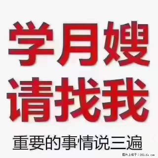为什么要学习月嫂,育婴师? - 九江28生活网 jj.28life.com