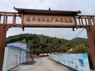 【灌阳县油茶产业示范区】一个有着充实的精神生活的人,对待身外之物自会有一种淡泊的态度 - 九江28生活网 jj.28life.com