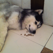 笑癫了!一女的怀孕三年未生,他终于忍不住了... - 娱乐八卦 - 九江生活社区 - 九江28生活网 jj.28life.com