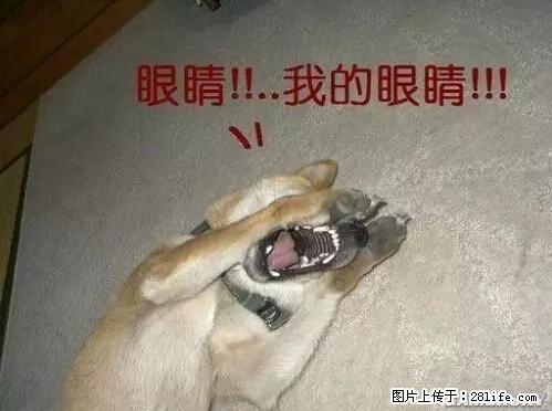 笑癫了!一女的怀孕三年未生,他终于忍不住了... - 娱乐八卦 - 九江生活社区 - 九江28生活网 jj.28life.com