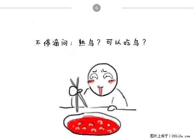 千万不要和这9种哈卵一起吃火锅! - 美食天地 - 九江生活社区 - 九江28生活网 jj.28life.com