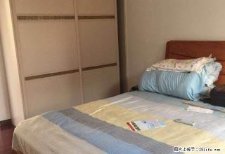 柴桑春天 精装双人房 只租1400 房东好说话 好房不等人 - 九江28生活网 jj.28life.com
