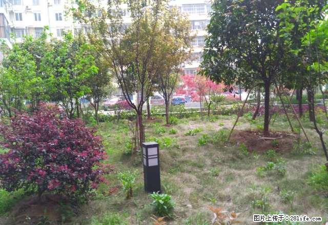 三里街师专附近小区有多套单间带厨卫出租 - 房屋出租 - 房屋租售 - 九江分类信息 - 九江28生活网 jj.28life.com