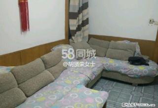 小校场信华公寓 2室1厅1卫 - 九江28生活网 jj.28life.com