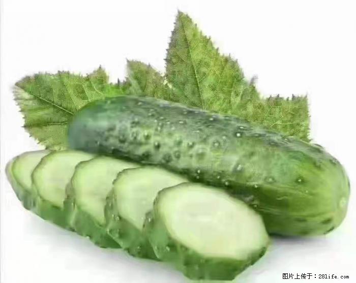 【生活小常识】吃黄瓜的好处 - 生活百科 - 九江生活社区 - 九江28生活网 jj.28life.com