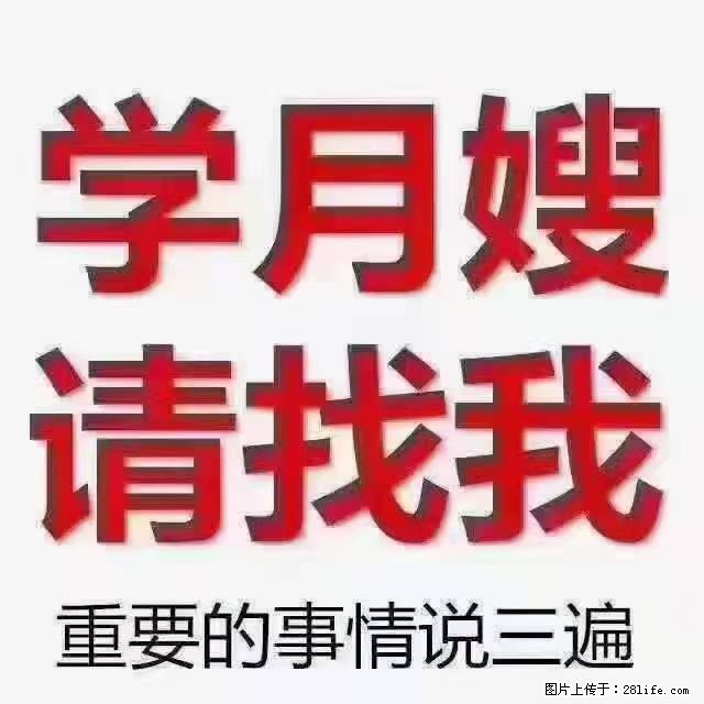 【招聘】月嫂,上海徐汇区 - 职场交流 - 九江生活社区 - 九江28生活网 jj.28life.com