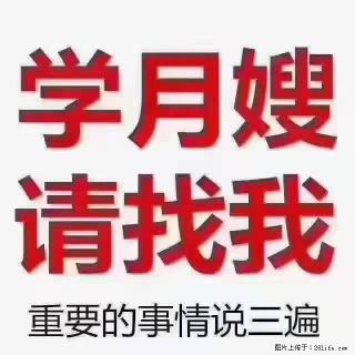 【招聘】月嫂，上海徐汇区 - 九江28生活网 jj.28life.com