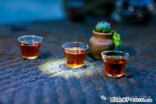 时间果百年古树2025年春红茶 - 购物交流 - 九江生活社区 - 九江28生活网 jj.28life.com