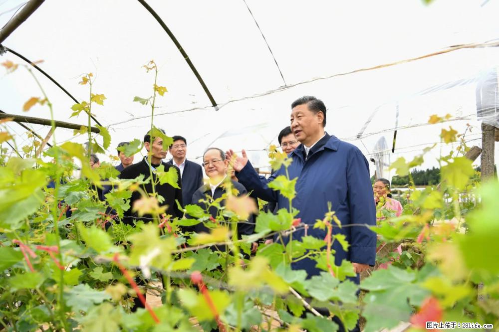 习近平赴广西考察调研 - 九江生活资讯 - 九江28生活网 jj.28life.com