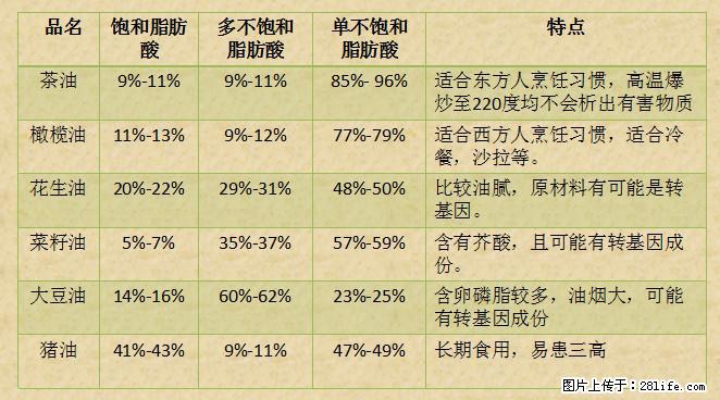 揭秘茶油的5大核心营养成分!被称为人体健康的“守护盾”! - 九江生活资讯 - 九江28生活网 jj.28life.com