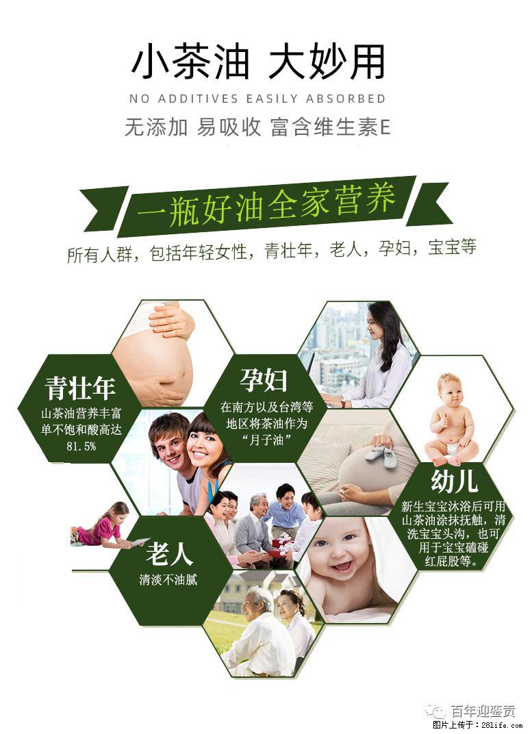 世界没有真相,只有认知,最好的食用油是中国的山茶油! - 九江生活资讯 - 九江28生活网 jj.28life.com