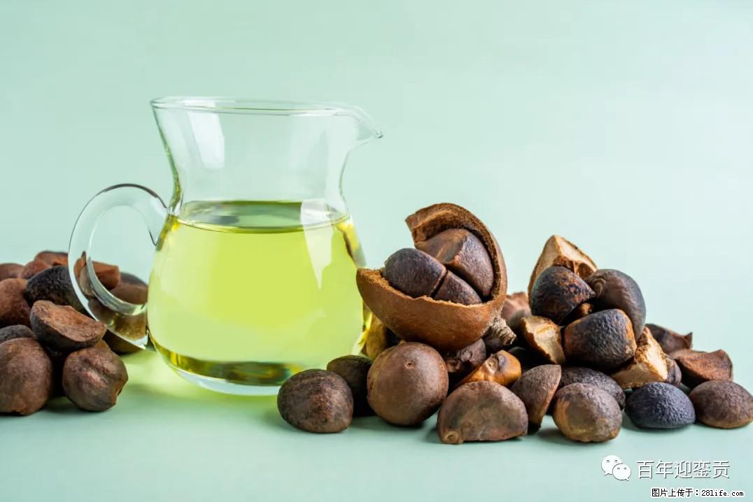 世界没有真相，只有认知，最好的食用油是中国的山茶油！ - 九江生活资讯 - 九江28生活网 jj.28life.com