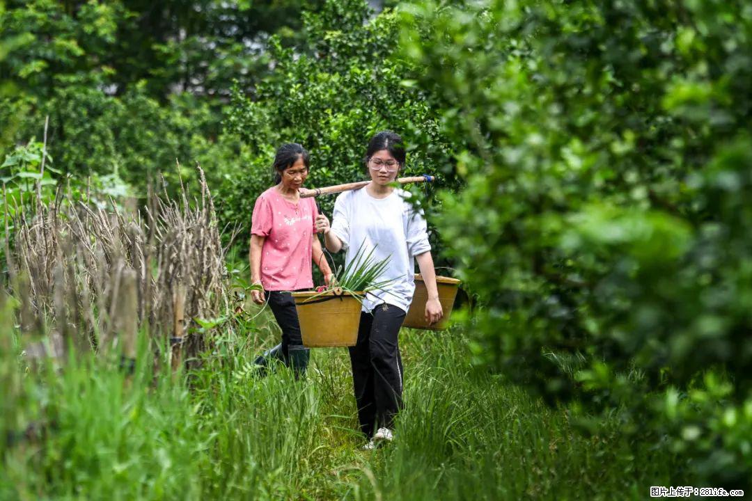 全网追的“扁担女孩”,找了一份暑假工,时薪12元 - 九江生活资讯 - 九江28生活网 jj.28life.com
