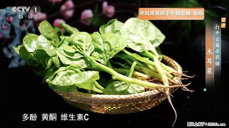 比牛奶补钙还厉害!凉血解毒、稳血糖...这菜冬天必吃,很多人却当草 - 九江生活资讯 - 九江28生活网 jj.28life.com