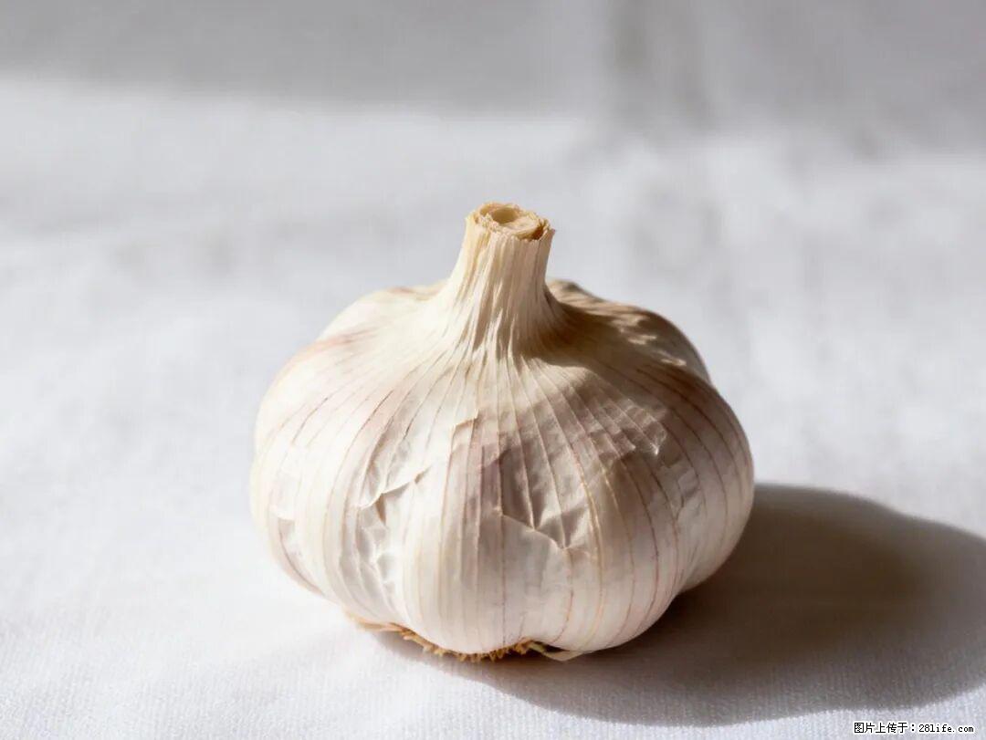 关于大蒜，除了“天然抗生素”，这4个谣言更该警惕! - 九江生活资讯 - 九江28生活网 jj.28life.com