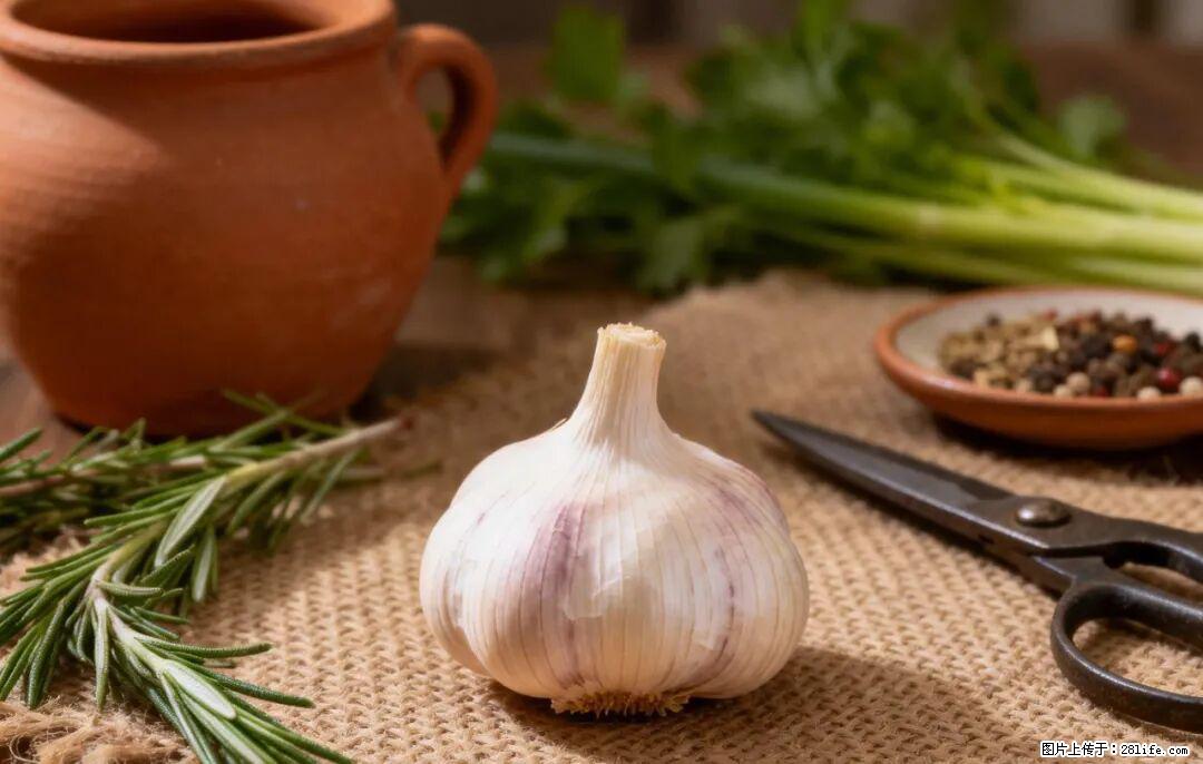 关于大蒜，除了“天然抗生素”，这4个谣言更该警惕! - 九江生活资讯 - 九江28生活网 jj.28life.com