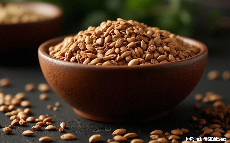 这三苦是三高“克星”，心血管干净不易堵！每天吃一点，指标慢慢降下来~ - 九江生活资讯 - 九江28生活网 jj.28life.com