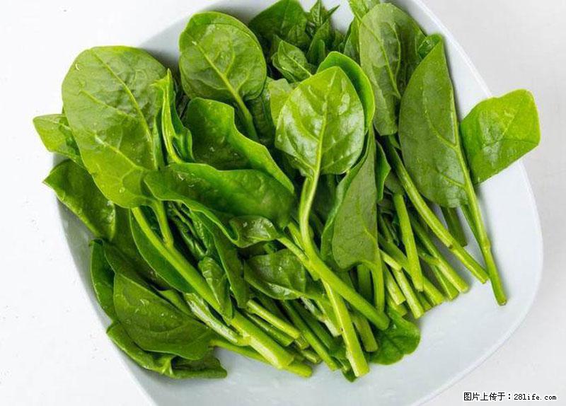 这些蔬菜是“天然钙片”，这6种被医生重点推荐 - 九江生活资讯 - 九江28生活网 jj.28life.com