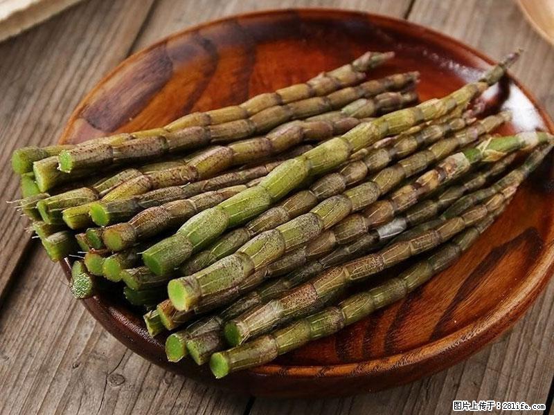 铁皮石斛的作用与功能主治 - 九江生活资讯 - 九江28生活网 jj.28life.com