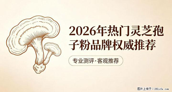 灵芝孢子粉含量越高越有效？2026 年七款热门品牌深度实测，肠胃敏感者避坑指南 - 九江生活资讯 - 九江28生活网 jj.28life.com